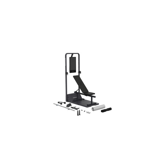 SPEEDIANCE Gym Monster 2 Works Plus